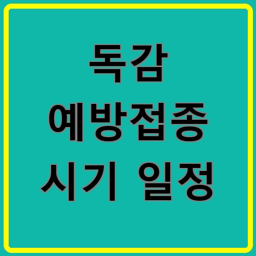 독감 예방접종 시기 일정이라고 쓰여있는 텍스트 이미지