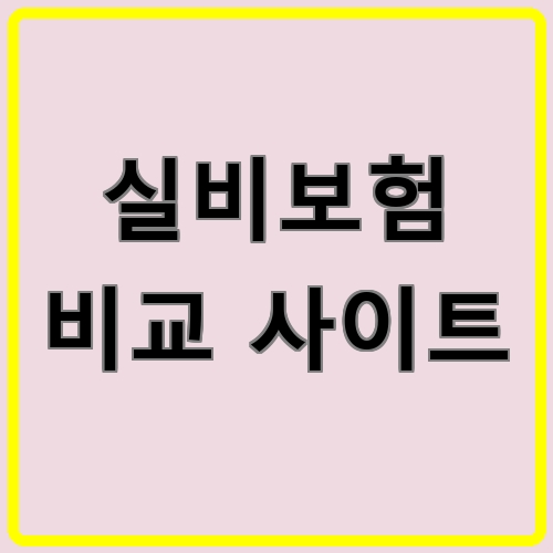 실비보험 비교 사이트이라고 쓰여있는 텍스트 이미지