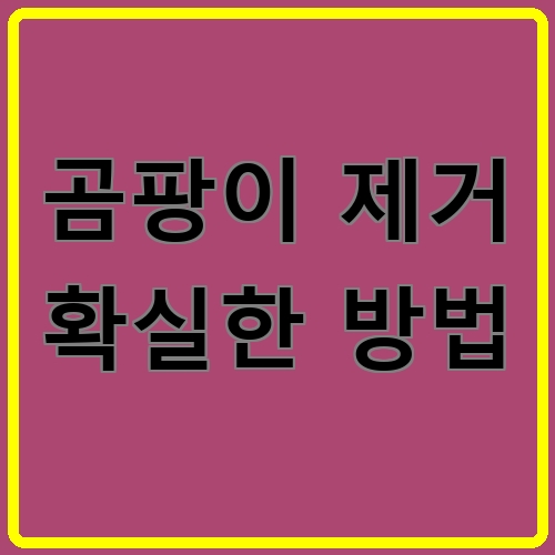 곰팡이 제거 확실한 방법 섬네일