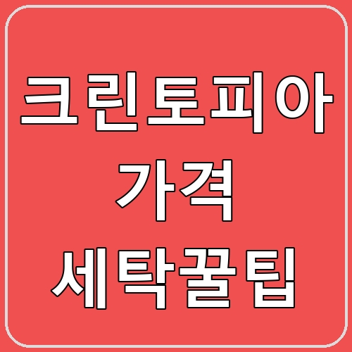 크린토피아 가격 세탁꿀팁 섬네일