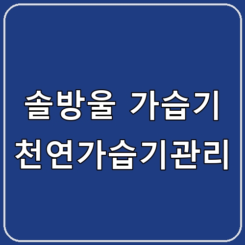 솔방울 가습기 천연가습기관리 섬네일